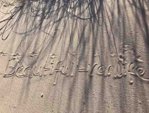 beautiful vanlife in Sand geschrieben
