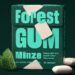 Forest Gum Kaugummi Verpackung mit Minze